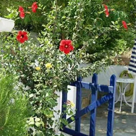 Pavlis & Parikia (Paros)